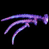 Lila Fantasy Extra Lange Tentakel Dildo